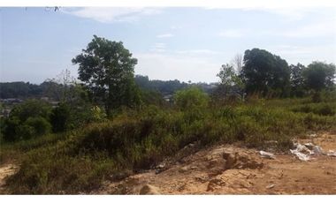 Dijual Tanah di Bukit Cinta 10.000m2, Sangat Murah Dibawah Harga Pasar Balikpapan Kota Kalimantan Timur