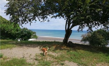VENDO LOTES EN PUERTO ARMUELLES