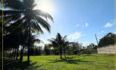 VENTA DE TERRENO CAMPESTRE EN VERACRUZ PUERTO