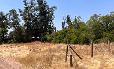 Terreno ubicado  en loteo del sector Liray/Lo Pinto