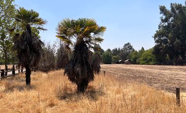 Terreno ubicado  en loteo del sector Liray/Lo Pinto