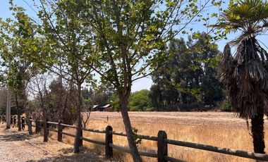 Terreno ubicado  en loteo del sector Liray/Lo Pinto