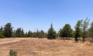 Terreno ubicado  en loteo del sector Liray/Lo Pinto