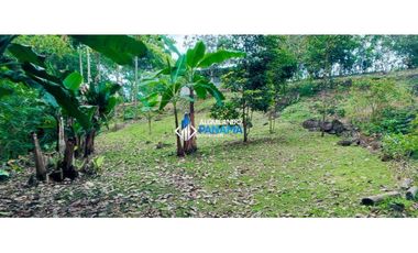 En venta hermosa finca con casa incluida, para proyecto turístico/agro