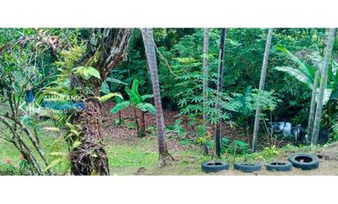 En venta hermosa finca con casa incluida, para proyecto turístico/agro