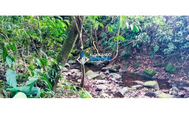 En venta hermosa finca con casa incluida, para proyecto turístico/agro