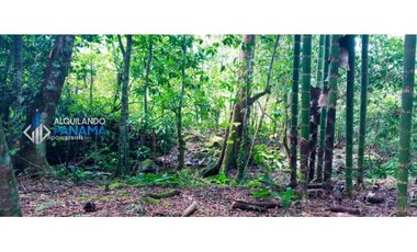 En venta hermosa finca con casa incluida, para proyecto turístico/agro