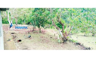 En venta hermosa finca con casa incluida, para proyecto turístico/agro