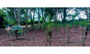 En venta hermosa finca con casa incluida, para proyecto turístico/agro