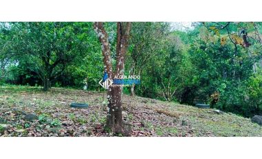 En venta hermosa finca con casa incluida, para proyecto turístico/agro