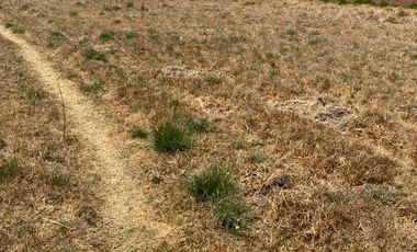 Terreno en Ocoyocac escriturado