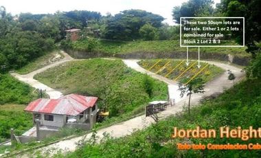 Rush Most Affordable 100 Sqm Ready for Building Lot for Sale in Consolacion Cebu