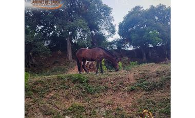 LOTE EN VENTA URBANO EN SOPETRAN