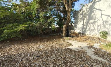lote en arriendo en la concepción. Cod A107683