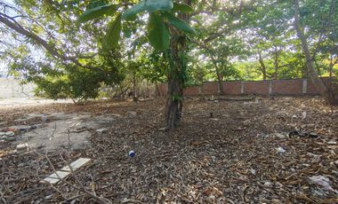 lote en arriendo en la concepción. Cod A107683