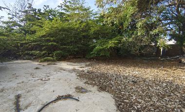 lote en arriendo en la concepción. Cod A107683