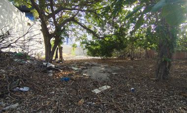 lote en arriendo en la concepción. Cod A107683