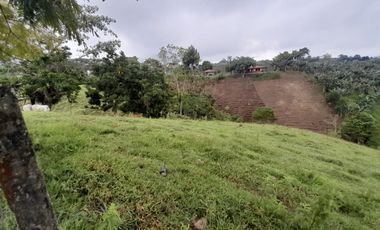 lote en arriendo en condina. Cod A6280935