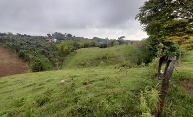 lote en arriendo en condina. Cod A6280935