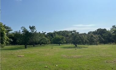 VENDO TERRENO EN CHAME CORONADO HOPSA