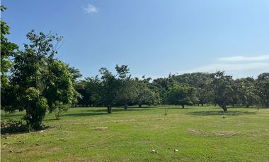 VENDO TERRENO EN CHAME CORONADO HOPSA
