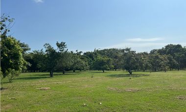 VENDO TERRENO EN CHAME CORONADO HOPSA
