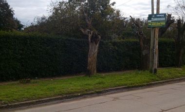 CASA CON EXCELENTE LOTE