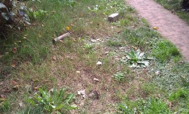 CASITA EN PH T/ DUPLEX