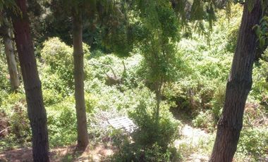 Sitio en Venta en https://maps.app.goo.gl/EvujfFLUNPR2A----