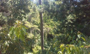 Sitio en Venta en https://maps.app.goo.gl/EvujfFLUNPR2A----