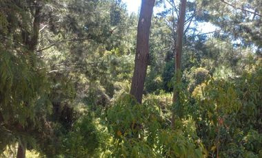 Sitio en Venta en https://maps.app.goo.gl/EvujfFLUNPR2A----