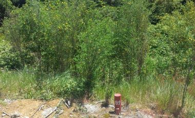 Sitio en Venta en https://maps.app.goo.gl/EvujfFLUNPR2A----