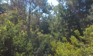 Sitio en Venta en https://maps.app.goo.gl/EvujfFLUNPR2A----