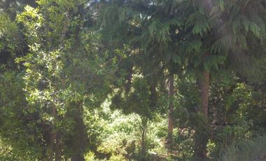 Sitio en Venta en https://maps.app.goo.gl/EvujfFLUNPR2A----