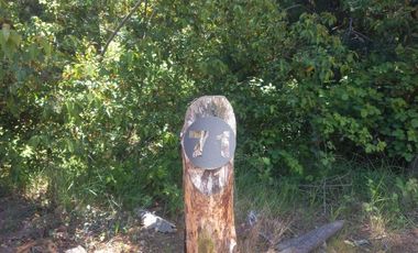 Sitio en Venta en https://maps.app.goo.gl/EvujfFLUNPR2A----