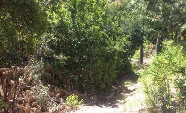 Sitio en Venta en https://maps.app.goo.gl/EvujfFLUNPR2A----