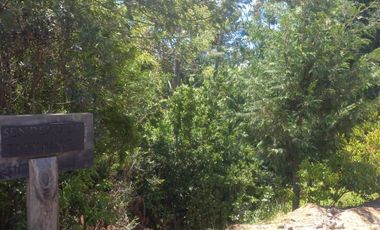 Sitio en Venta en https://maps.app.goo.gl/EvujfFLUNPR2A----