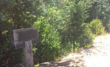 Sitio en Venta en https://maps.app.goo.gl/EvujfFLUNPR2A----