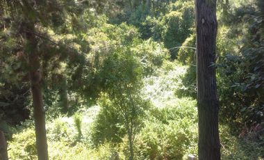 Sitio en Venta en https://maps.app.goo.gl/EvujfFLUNPR2A----