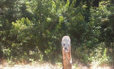 Sitio en Venta en https://maps.app.goo.gl/EvujfFLUNPR2A----