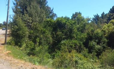 Sitio en Venta en https://maps.app.goo.gl/EvujfFLUNPR2A----