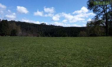 Agrícola en Venta en Cercano a la ciudad