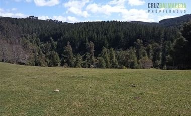 Agrícola en Venta en Cercano a la ciudad