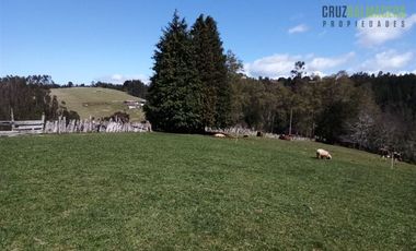 Agrícola en Venta en Cercano a la ciudad