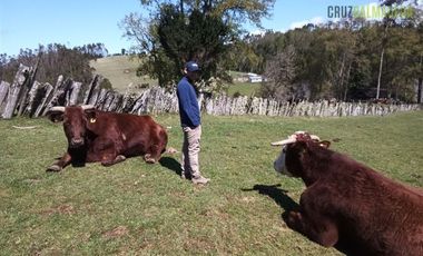 Agrícola en Venta en Cercano a la ciudad
