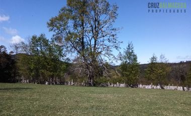 Agrícola en Venta en Cercano a la ciudad