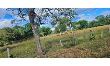 VENDO 1378 METROS  SOBRE VIA PRINCIPAL