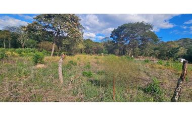 VENDO 1378 METROS  SOBRE VIA PRINCIPAL