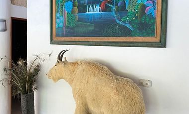 QUINTA CAMPESTRE EN EL ALAMO, N.L. CARRETERA NACIONAL