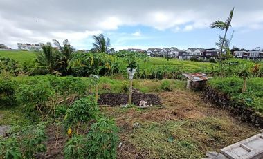 Freehold - Prime Tourism Land only 5 Minutes' Walk to Mengening Beach, Bali